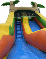 IMG 5335 1717977773 16ft Tropical Water Slide